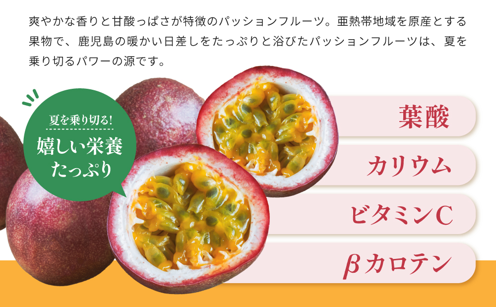 鹿å
å³¶çç£ ããã·ã§ã³ãã«ãŒã çŽ3kgïŒ10ïœ12åçšåºŠÃ3ç®±ïŒ ïŒ»æ°éã»æé éå® ïŒœ å
è¡äºçŽ å
è¡åä» åœç£ ãã«ãŒã æç© ãã ãã® éæ é£å ãã¶ãŒã ã¹ã€ãŒã ããã€ æ¬ å€ å£ç¯éå® å£ç¯ã®æç© é
žå³ çã¿ ãããã ååœ ãããã«ã«ãã«ãŒã ååœãã«ãŒã ãåãå¯ã ã°ã«ã¡ 蟲å 蟲åçŽé 蟲家çŽé ç£å°çŽé æž
çŽkajuen 鹿å
å³¶ 鹿å
å³¶ç åãã€ãŸåž