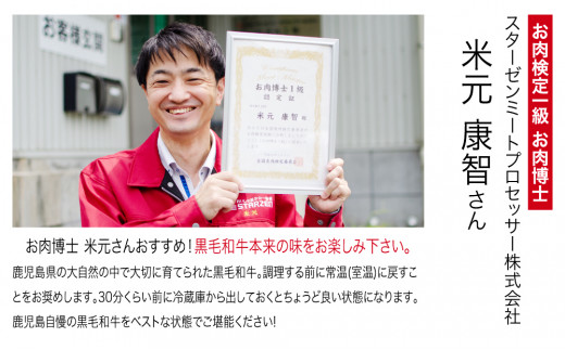 【鹿児島県産】黒毛和牛 サーロインステーキ 約500g （約170g×3枚） 牛肉 A4等級 ステーキ BBQ ギフト 贈答 冷凍 スターゼン 南さつま市