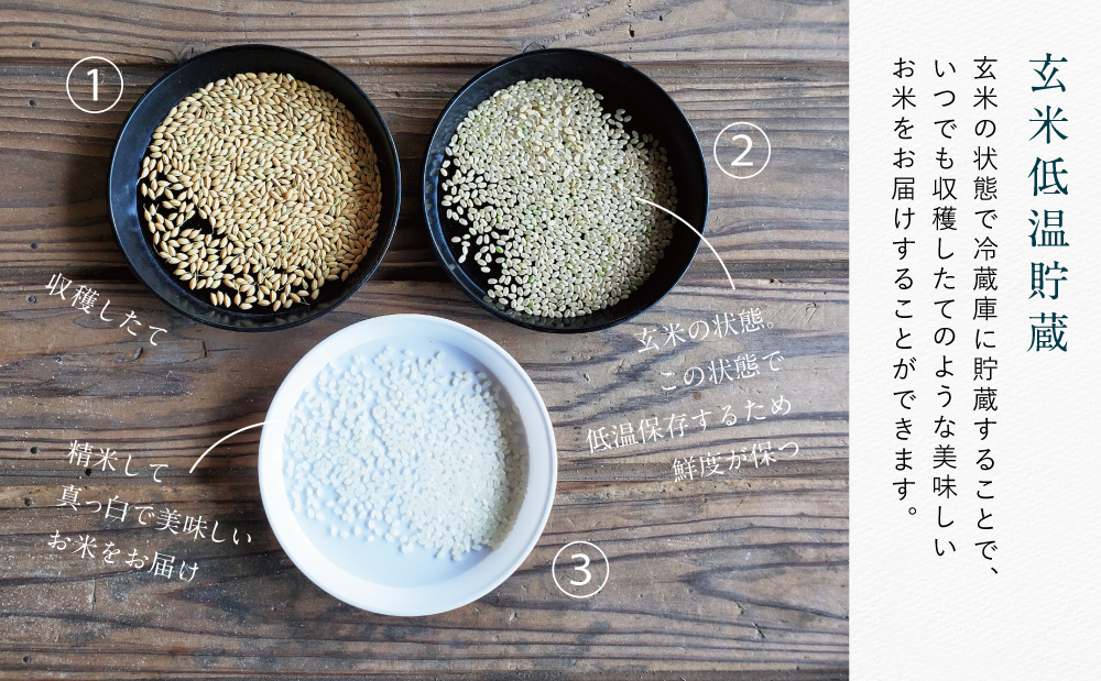 ★令和7年産★鹿児島県南さつま市産「金峰コシヒカリ」5kg 【玄米低温貯蔵・白米でお届け】超早場米 早期米 こしひかり 白米 九州産 鹿児島県産 お米 コメ おこめ 5キロ 松木のお米直販 南さつま市