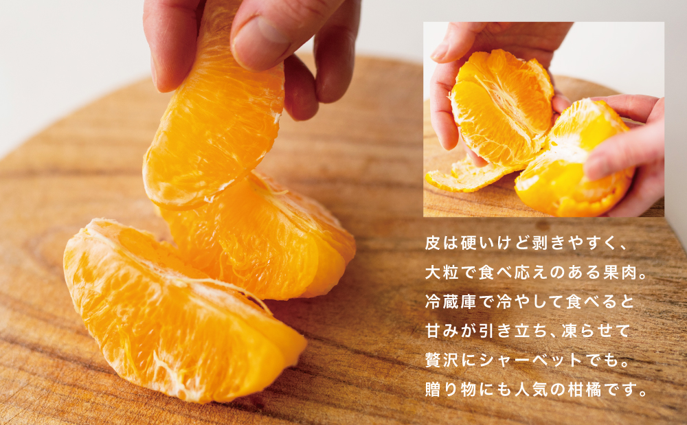 ãè³é«ã®çæææ©ããè©æ©ã®çŽ
æ¡ïŒäžç¥ç«ïŒããèªå®
çš 30ïœ36çLïœ3Lãµã€ãºïŒœæç© ãã«ãŒã çæ ææ© é·æè²¯èµ ããã¬ã äžç¥ç« 鹿å
å³¶ åãã€ãŸåž