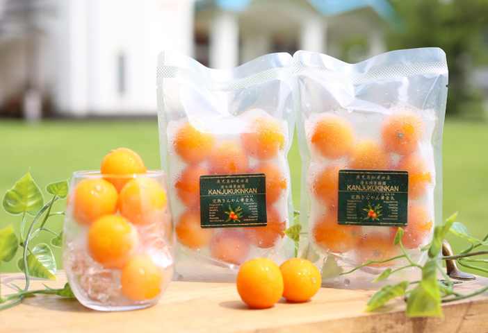 【鹿児島県南さつま市産】完熟金柑 黄金丸（冷凍保存）