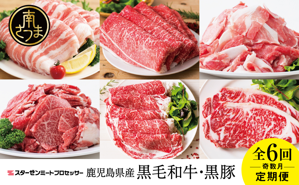 【スターゼン厳選定期便】鹿児島県産 黒毛和牛・黒豚定期便 （全6回） サーロイン ステーキ 切り落とし しゃぶしゃぶ 焼肉 すき焼き ローススライス 定期便 冷凍 スターゼン 南さつま市
