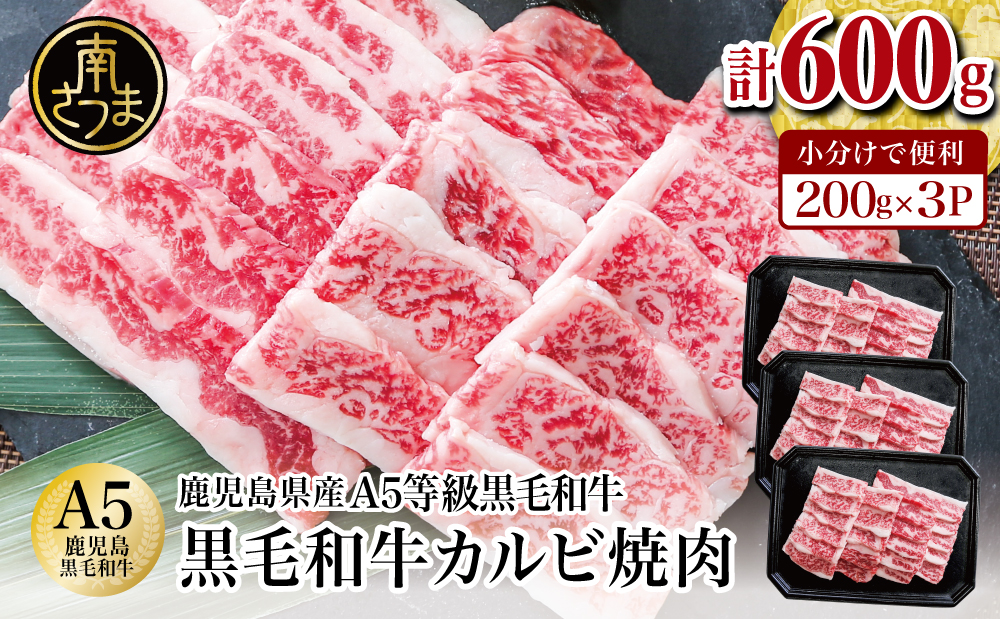 【鹿児島県産】A5等級黒毛和牛 カルビ焼肉 計600g（200g×3P） 国産牛 牛肉 国産 焼き肉 カミチク BBQ バーベキュー アウトドア バラ 丼 プレート 小分けパック 冷凍