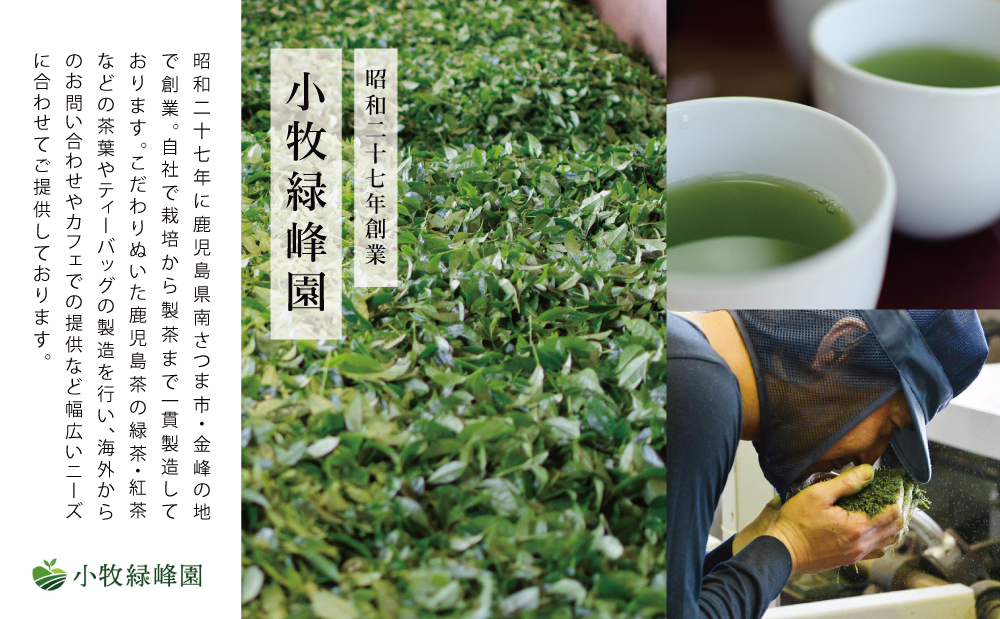 【日本茶AWARD受賞】高級深蒸し茶「さえみどり」 5本セット (100g×5袋)  ギフト 贈答 鹿児島県産 かごしま お茶 日本茶 緑茶 茶葉 南さつま市 小牧緑峰園