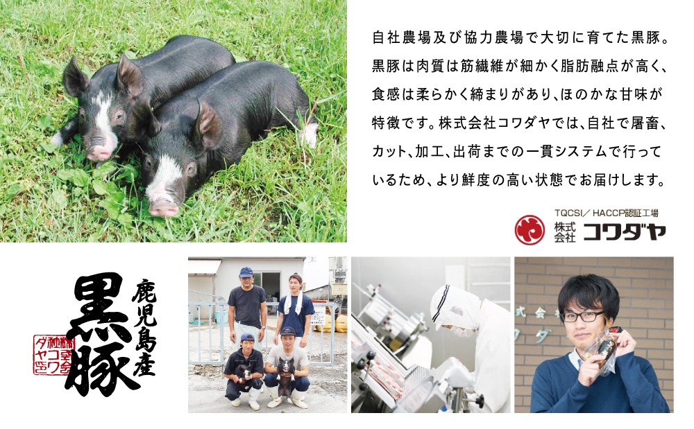 鹿å
å³¶çç£é»è± ããããŒã«ã¹ããŒã140gÃ5è¢ïŒ700ïœïŒ å°åã åœç£ ãã©ã³ãè± ããã æ£è ç°¡å ãæè»œ å·å é£å å€é£¯ ãåŒåœ æç ç°¡å調ç 鹿å
å³¶ç åãã€ãŸåž æ ªåŒäŒç€Ÿã³ã¯ãã€