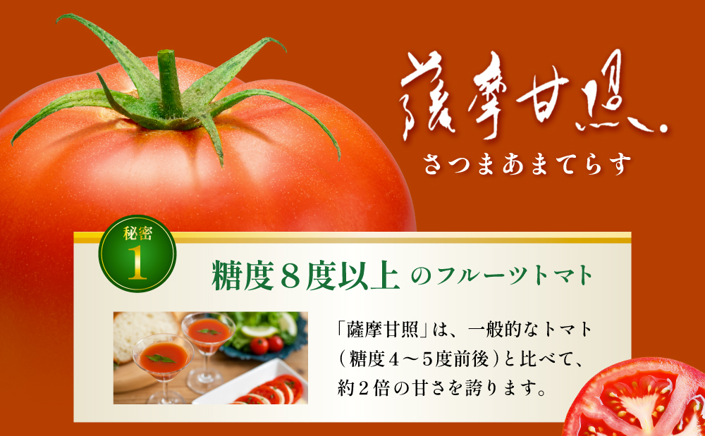 至高のトマト加工品詰合せ 3種類 南国 フルーツトマト100%使用 薩摩甘照 さつまあまてらす トマトジュース トマトケチャップ 濃厚 コク 甘み 天然素材 とまと 野菜 飲料 ドリンク ギフト 贈り物 贈答用 化粧箱入り 高槻電器工業 南さつま市