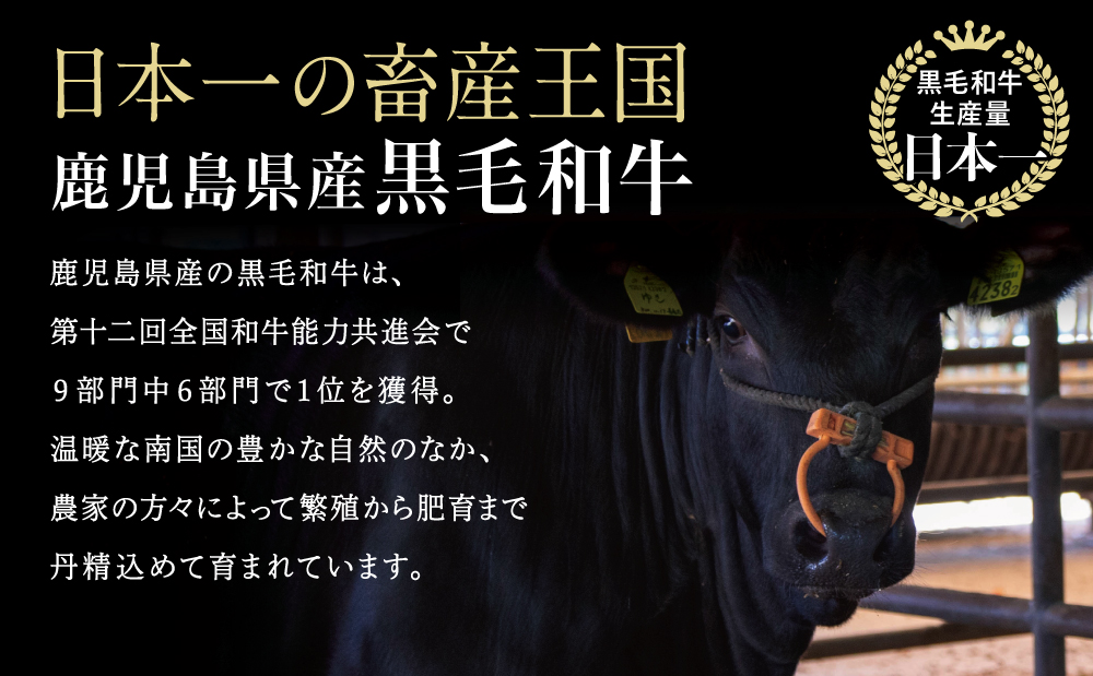 鹿å
å³¶çç£é»æ¯åç 赀身ããã¹ã©ã€ã¹ èš1.2kgïŒ600gÃ2PïŒ é»æ¯åç åç çè è 赀身 ã¢ã¢ ã¹ã©ã€ã¹ èåã ããçŒã ãããã ããã¶ããã¶ é ãã£ãã ãã«ã·ãŒ å·å ã®ãã èŽç èŽãç© ãã¬ãŒã³ã ã¹ã¿ãŒãŒã³ 鹿å
å³¶ç åãã€ãŸåž