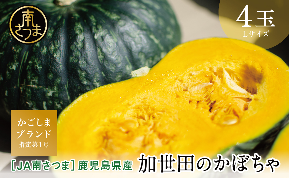 ◆5月～7月出荷◆【かごしまブランド】加世田のかぼちゃ 4個 ［春出荷］ 野菜 カボチャ 常温 鹿児島県産 JA 南さつま市