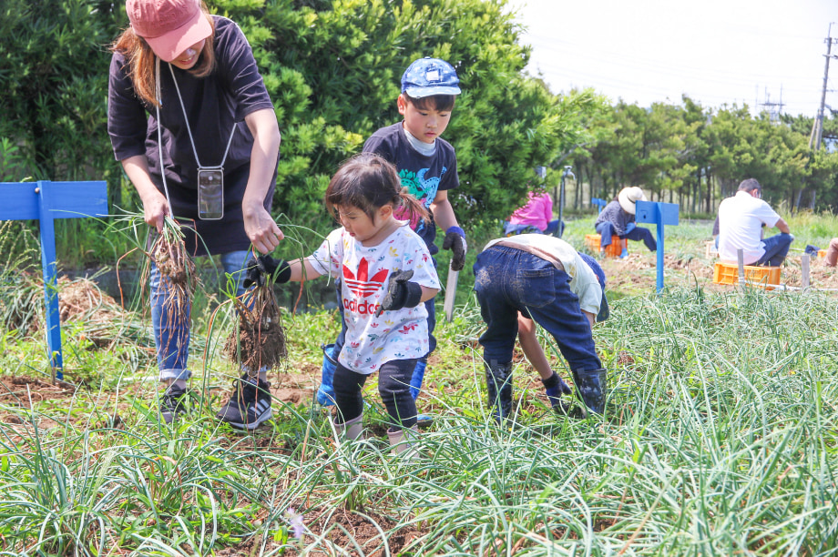 ふるさとへの移住・定住応援