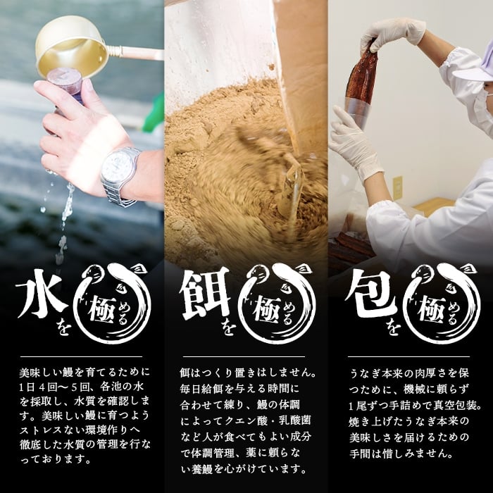 楠田の極うなぎ白焼き 2尾(有頭130g以上×2尾) a4-105