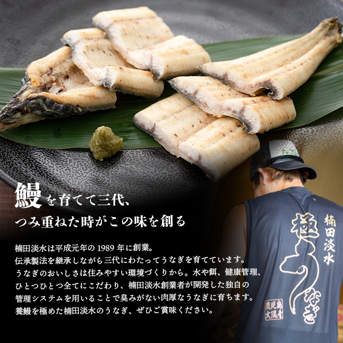 楠田の極うなぎ白焼き 2尾(有頭130g以上×2尾) a4-105