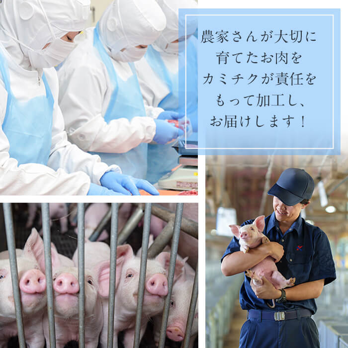〈3回定期便〉鹿児島県産 豚モモスライス&カタ薄切り 各250g×8Pずつ 計4kg×3回 肉 豚肉 モモ スライス 薄切り セット 食べ比べ モモスライス 豚モモ 豚カタ 冷凍 国産 野菜炒め 生姜焼き 小分け 鹿児島 t0051-003
