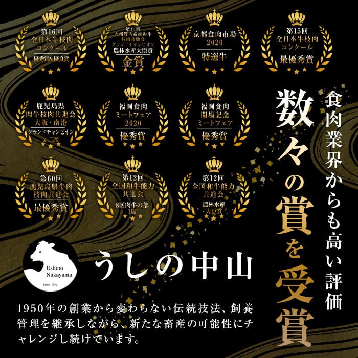 うしの中山 A4・A5等級黒毛和牛 レバー 計3kg（500g×6P）黒毛和牛 和牛 肉 ホルモン 国産 九州産 鹿児島県産 焼肉 炒め物  牛レバー 冷凍 日本一 c0-133