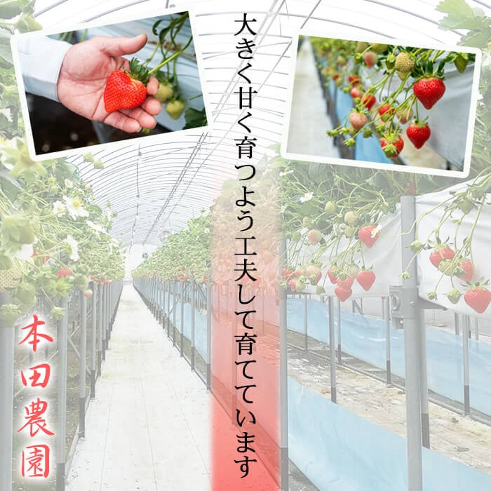 ãæ°ééå®ã鹿å
å³¶çç£ææ¡ãã€ããŽãæã¿ã®ããçŽ1620g(çŽ270gÃ6ããã¯) a3-241