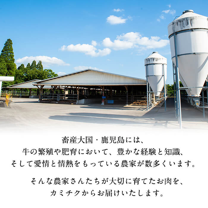 〈3回定期便〉鹿児島県産 豚モモスライス&カタ薄切り 各250g×8Pずつ 計4kg×3回 肉 豚肉 モモ スライス 薄切り セット 食べ比べ モモスライス 豚モモ 豚カタ 冷凍 国産 野菜炒め 生姜焼き 小分け 鹿児島 t0051-003