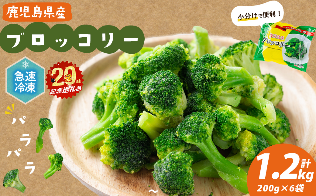 【志布志市制20周年記念】鹿児島県産 冷凍ブロッコリー(計1.2kg) p9-044