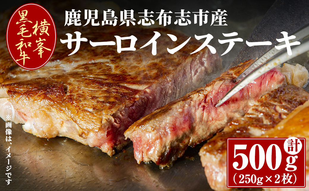 鹿児島県志布志市産横峯黒毛和牛のサーロインステーキ計500g(250g×2枚) d0-030