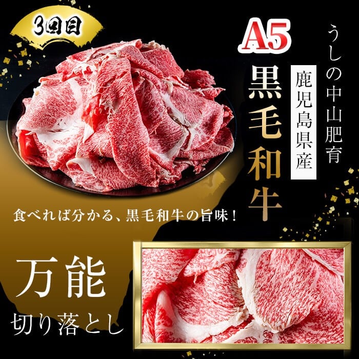【定期便全3回】＜A4・A5等級＞黒毛和牛堪能〈お試し〉定期便（5〜6人分）総重量1.8kg 鹿児島県産 黒毛和牛 和牛 肉 牛肉 国産 九州産 鹿児島県産 焼肉 焼き肉 BBQ ランキング 人気 A4 A5 赤身 切り落とし カルビ お楽しみ 食べ比べ 5人前 6人前 t0058-003