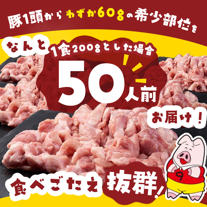 【訳あり・業務用】希少部位！！国産豚タン元(計10kg) 国産 豚肉 豚 肉 タン 豚タン 焼肉 BBQ 訳あり 業務用 つまみ おつまみ 希少部位 冷凍 c2-016