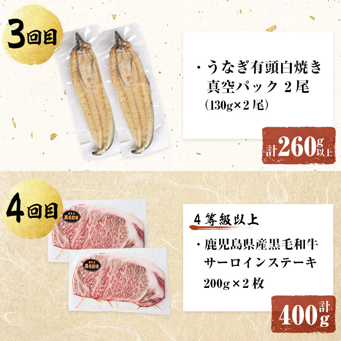 【定期便全6回】鰻と肉の贅沢定期便！鰻とお肉が交互に届くお楽しみ便 t0100-029