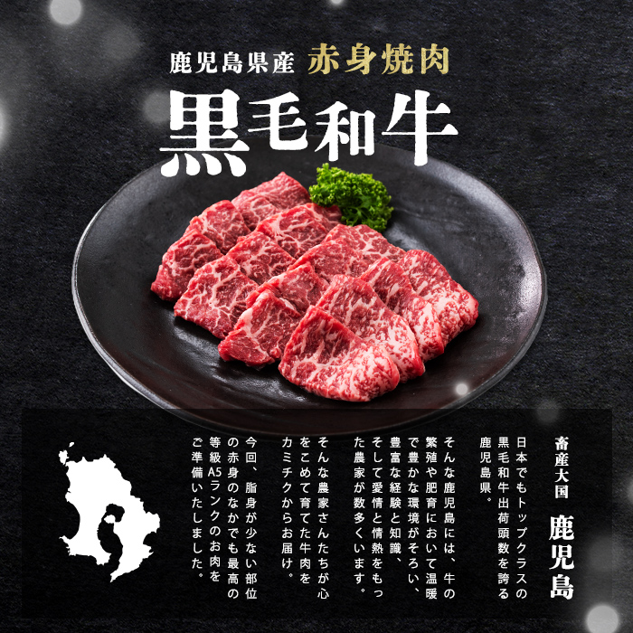 【小分け】＜A5等級＞鹿児島県産 黒毛和牛 牛肉 赤身 焼肉 (200g×5P/計1kg) 牛肉 肉 小分け 鹿児島県産 国産 A5 赤身 焼肉 焼き肉 黒毛和牛 BBQ b44-001