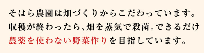 【数量限定・訳あり】志布志湾ほうれん草(計1kg 200g×5袋) サラダ おひたし お味噌汁 スムージー ほうれん草 ジュース ほうれんそう p7-034