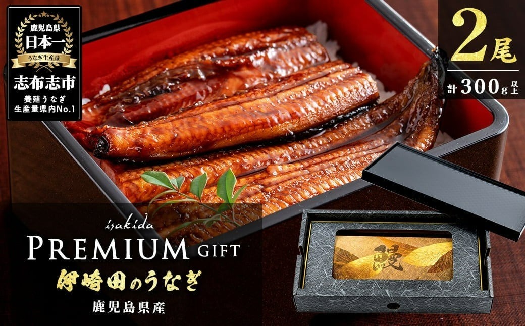 【ギフト対応】【数量限定】鹿児島県産　伊崎田のうなぎ中＜150g以上＞×2尾(300g以上)　プレミアムギフト箱　 a9-030