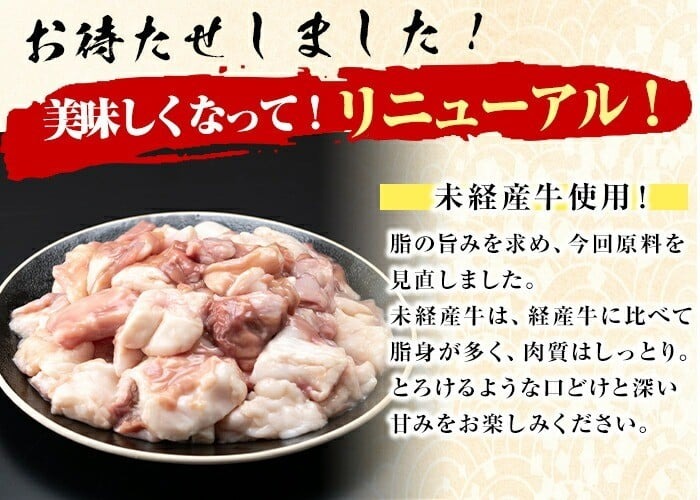 国産黒毛和牛ホルモン もつ鍋セット(10～15人前) a7-028
