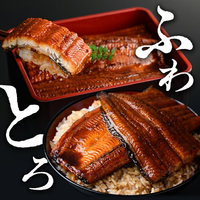 【10営業日以内に発送】鹿児島県産うなぎ蒲焼 名水慈鰻 2尾＜計210～250g＞ うなぎ 鰻 ウナギ 2尾 国産 蒲焼 かばやき 冷凍 真空 真空パック 無頭 うな重 ひつまぶし タレ 山椒 a1-151