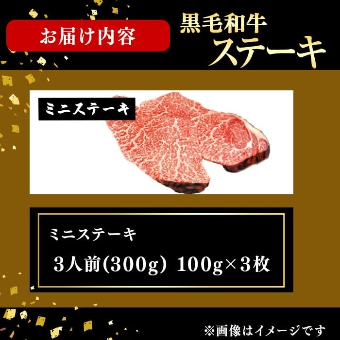 鮖ソ蜈仙ウカ逵檎肇鮟呈ッ帛柱迚帙Α繝九せ繝繝シ繧ュ(3莠コ蜑300g/100gテ3譫) a8-091