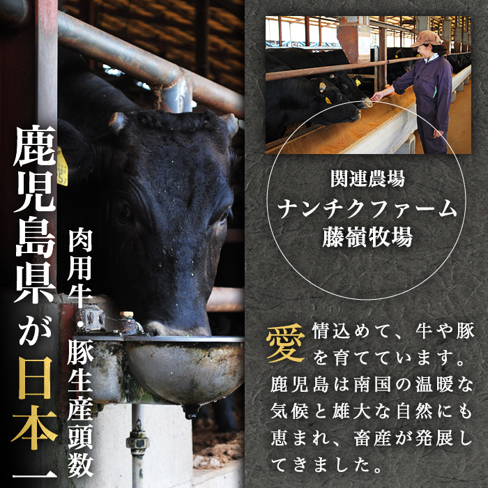 ã鹿å
島黿¯åçãæ¥µäžããŒã¹ãããŒã(500g) b0-170