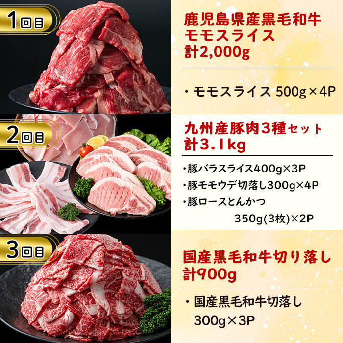 ãå®æäŸ¿ã»å
š6åããèã®ã楜ãã¿å®æäŸ¿ ç·é9.8kg! çè è±è 鹿å
å³¶çç£ ä¹å·ç£ åœç£ 黿¯åç ã¹ããŒã ãããã ããã¶ããã¶ ãšãã〠BBQ t0114-001