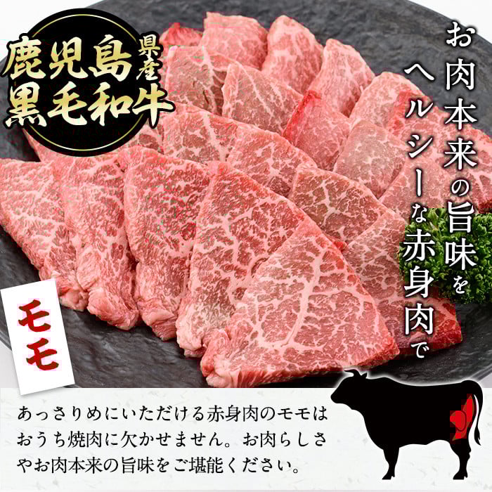 【焼肉3種！食べ比べセット】鹿児島県産黒毛和牛 モモ・肩ロース・国産ホルモンの焼肉3種セット＜計1kg＞ b2-030