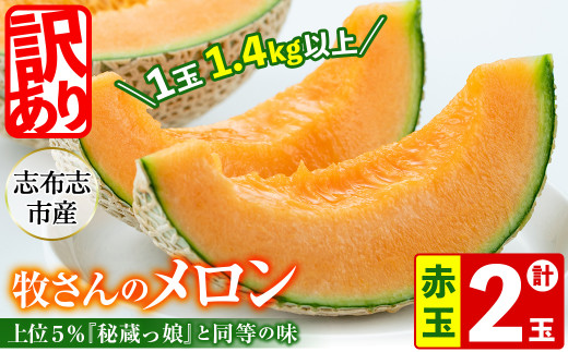 【春限定・数量限定】牧さんの訳ありメロン 赤玉(赤肉)計2玉 b0-105-s