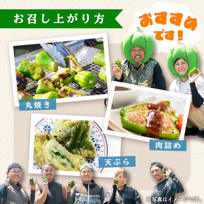 å¿åžå¿ç£èš³ããããŒãã³(1kg) ããŒãã³ èš³ãã éè ããã ãŽãŒãŸã æ°é®® åžžæž© åžžæž©ä¿å ããã è©°ãåãã éè³ éè³åè³ éèãœã ãªãšãµããã p5-050