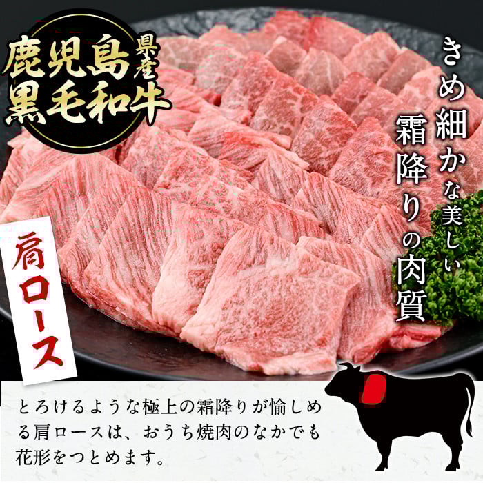 【焼肉3種！食べ比べセット】鹿児島県産黒毛和牛 モモ・肩ロース・国産ホルモンの焼肉3種セット＜計1kg＞ b2-030