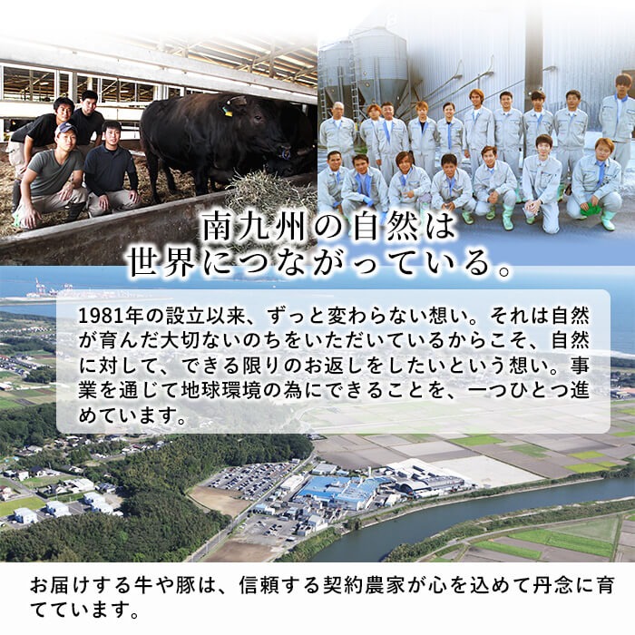 【定期便全4回】ししまる牛・豚定期便A(4ヶ月連続・計4.29kg以上) 黒毛和牛 黒豚 国産牛 九州産 豚 豚肉 肉 牛肉 国産 小分け 真空包装 冷凍 t0044-007