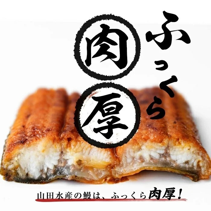 【志布志市人気No.1お礼の品】霧島湧水鰻の蒲焼き 140g以上×3尾＜計420g以上＞ うなぎ 鰻 ウナギ 3尾 国産 九州産 蒲焼き かばやき 冷凍 うな重 ひつまぶし タレ 山椒 ランキング 人気 a6-072