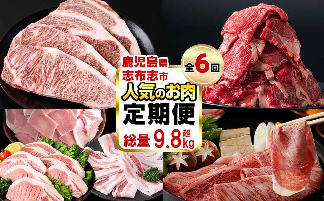 【定期便・全6回】お肉のお楽しみ定期便 総量9.8kg! t0114-001