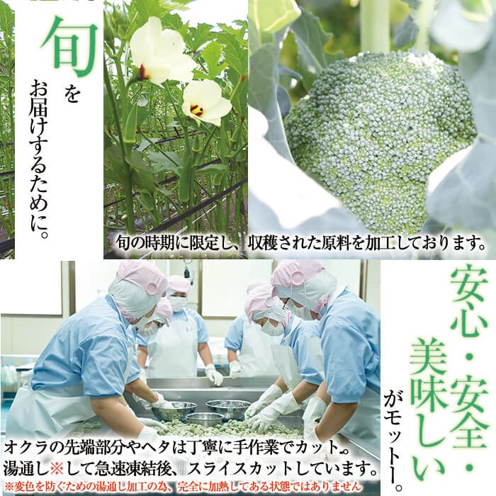 【志布志市制20周年記念】国産冷凍カット野菜（ブロッコリー・オクラスライス）計1.1kg a0-399