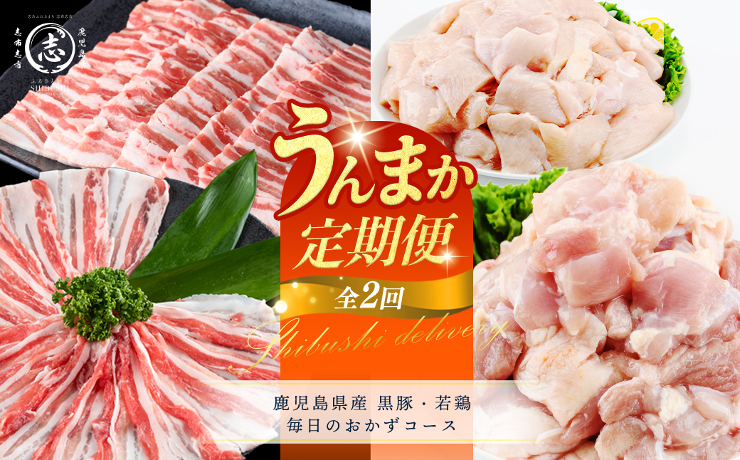 【定期便全2回】鹿児島県産 黒豚・若鶏 毎日のおかずコース！志布志うんまか定期便 国産 豚肉 肉 黒豚 バラ バラ肉 スライス しゃぶしゃぶ 焼肉 鶏肉 とり肉 鳥肉 鶏もも肉 鶏ムネ肉 若鶏 バラエティ セット t0031-004