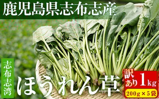 【数量限定・訳あり】志布志湾ほうれん草(200g×5袋 合計1kg) p7-034
