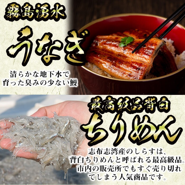 志布志市福袋！鰻とおかずいろいろセット(霧島湧水鰻2尾＆釜揚げちりめん＆黒豚ウデ切り落とし＆ウーロン紅茶＆角煮飯) b8-041