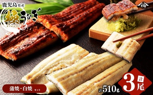 楠田の極うなぎ 蒲焼き2尾・白焼き1尾170g以上×3尾(510g以上) b2-011