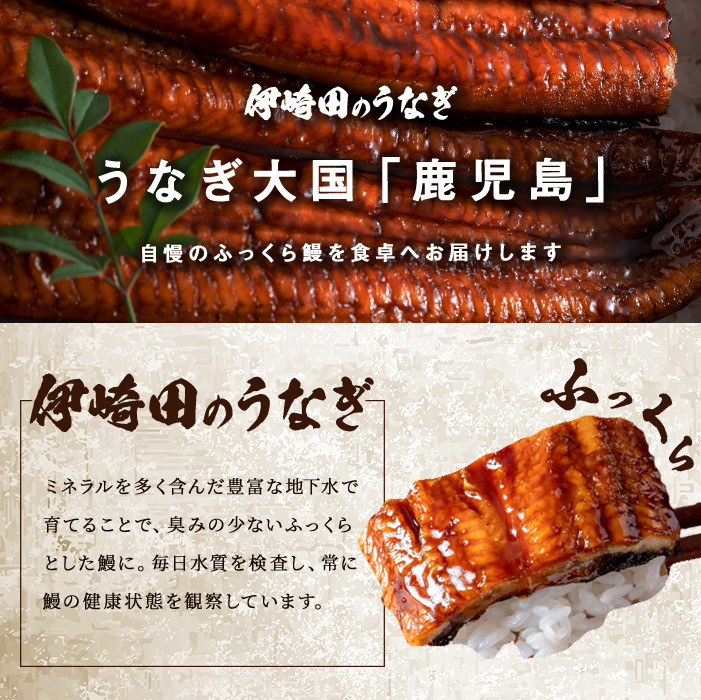 ãã®ãã察å¿ããæ°ééå®ã鹿å
å³¶çç£ äŒåŽç°ã®ããªãè²çŒ äžïŒ150g以äžïŒÃ 3å°Ÿ(èš450g以äž) b5-185