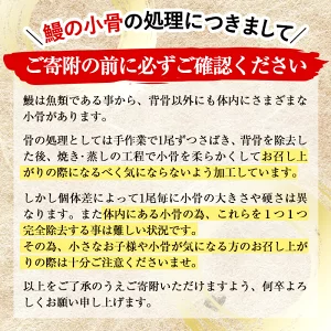 うなぎの大楠＜大＞4尾セット計600g(150g×4) b8-026