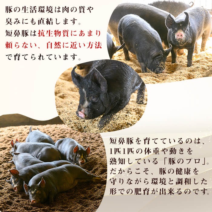 【無添加】【ギフト対応】「福別府農場」鹿児島黒豚しゃぶしゃぶ（バラ）計800g(200g×4P) b0-205