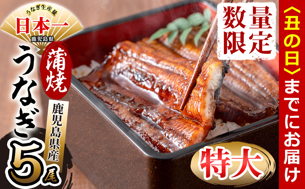 【丑の日までに配送】鹿児島県産 伊崎田のうなぎ蒲焼 特大＜190g以上＞× 5尾(計950g以上) うなぎ 鰻 ウナギ 国産 鹿児島県産 九州産 蒲焼き 冷凍 うな重 ひつまぶし c9-001-us