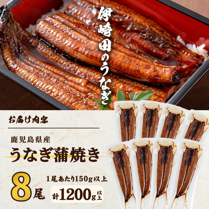 ãæ°ééå®ã鹿å
å³¶çç£ äŒåŽç°ã®ããªãè²çŒ äžïŒ150g以äžïŒÃ 8å°Ÿ(èš1200g以äž) e1-001