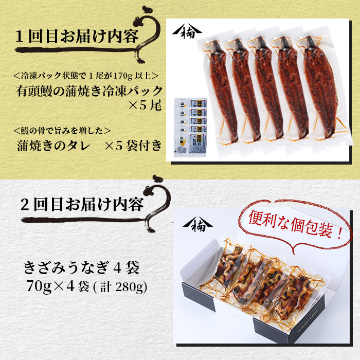 ãå®æäŸ¿å
š5åãããªã2.1kgïŒ5ã¶æéããªããæ¥œãããå®æäŸ¿ïŒ t0098-001